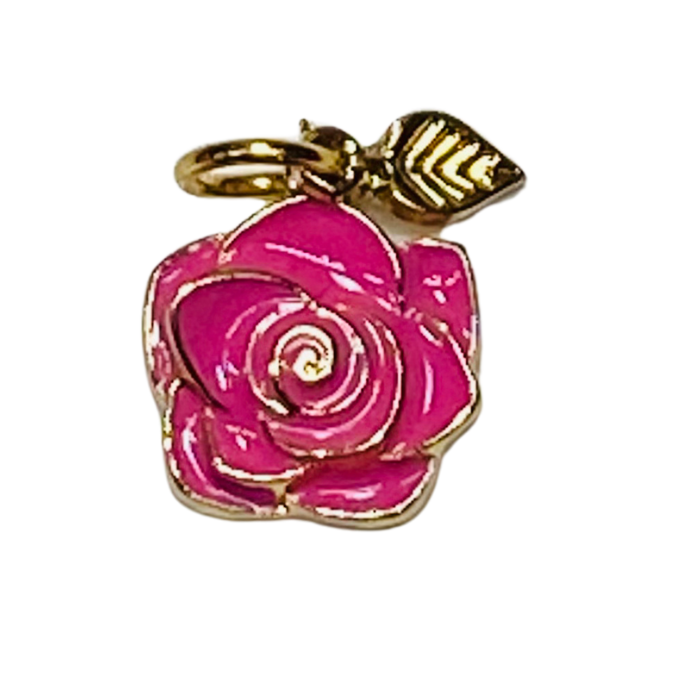 SMALL CHARMS