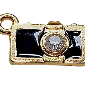 LARGE CHARMS