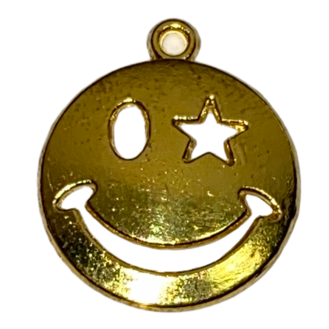 LARGE CHARMS