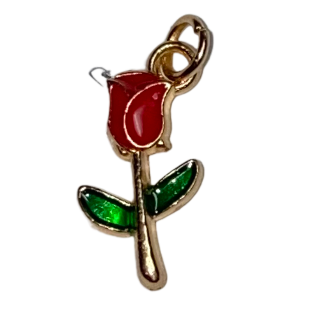 SMALL CHARMS