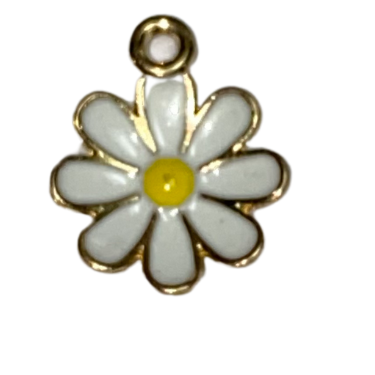 SMALL CHARMS