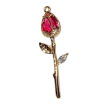 LARGE CHARMS